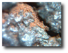 Gwiezdne Wrota - Sekcja Astronomiczna